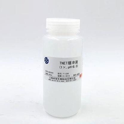 Tris鎂鹽緩沖液（1×，pH=7.8）