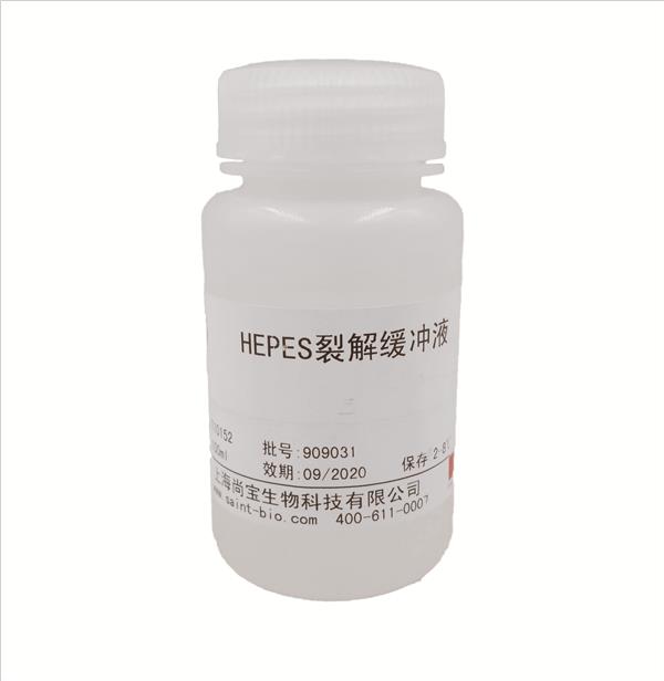 HEPES裂解緩沖液
